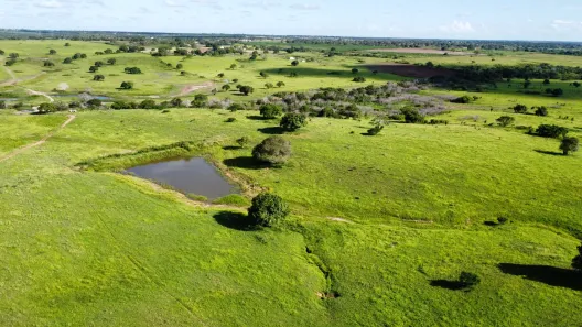 Fazenda/Sítio com 10 Quartos à venda, 4100000m² no , Macaíba