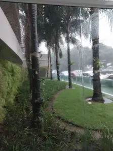 Apartamento com 2 Quartos para alugar, 61m² no Vila Osasco, Osasco