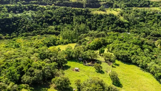 Fazenda/Sítio à venda, 2800000m² no , Itati