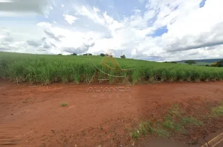 Fazenda/Sítio com 1 Quarto à venda, 93221m² no Zona Rural, Cravinhos