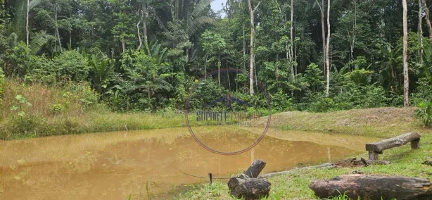 Fazenda/Sítio à venda, 2000m² no Careiro, Careiro