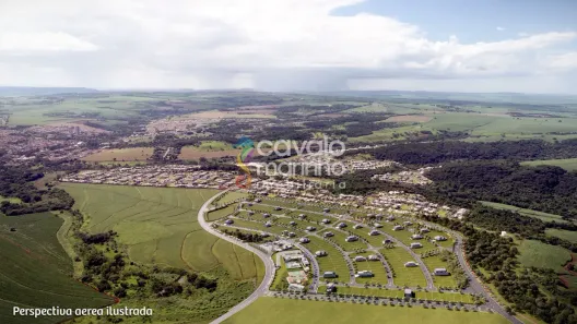Lote/Terreno à venda, 301m² no Residencial e Empresarial Alphaville, Ribeirão Preto