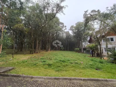 Lote/Terreno à venda, 229m² no Pinheiro Grosso, Canela