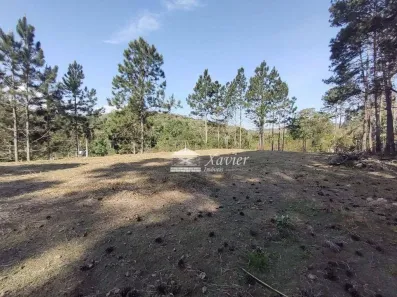 Lote/Terreno à venda, 9000m² no Sorocamirim (Canguera), São Roque
