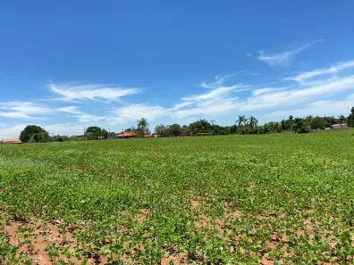 Fazenda/Sítio à venda, 217800m² no Jardim Europa, Cesário Lange