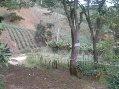 Fazenda/Sítio à venda, 127209m² no São Geraldo, Nova Friburgo