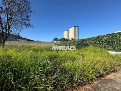 Lote/Terreno à venda, 242m² no Vila Aviação, Bauru