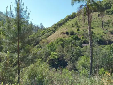 Lote/Terreno à venda, 4542m² no , Nova Petrópolis