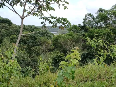 Lote/Terreno à venda, 200m² no , Jequiá da Praia