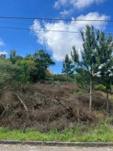 Lote/Terreno à venda, 394m² no Monte Bérico, Caxias do Sul
