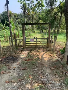 Fazenda/Sítio com 2 Quartos à venda, 290m² no Pedra Lisa, Japeri