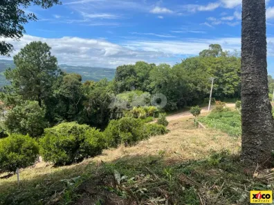 Lote/Terreno à venda, 439m² no Pinhal Alto, Nova Petrópolis