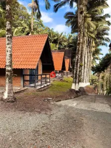 Fazenda/Sítio com 1 Quarto à venda, 1000m² no Rio Hern, Schroeder