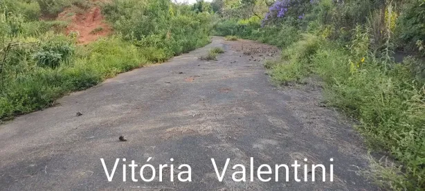 Lote/Terreno à venda, 81674m² no Industrial Anhangüera, Osasco