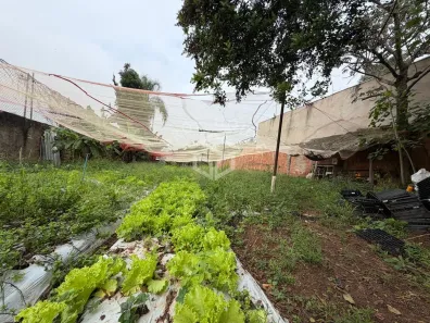 Fazenda/Sítio à venda, 1250m² no Jardim do Lago, Limeira
