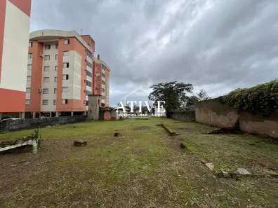 Lote/Terreno à venda, 2500m² no Passo das Pedras, Gravataí
