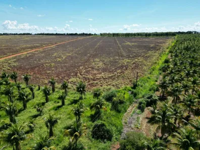 Fazenda/Sítio com 3 Quartos à venda, 800m² no Zona Rural, Terenos
