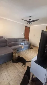Apartamento com 2 Quartos para alugar, 51m² no Jardim Alvorada, Santo André