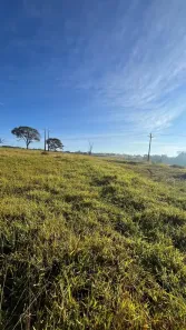 Fazenda/Sítio com 3 Quartos à venda, 532400m² no , Jaci