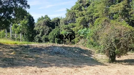 Lote/Terreno à venda, 4000m² no Chácaras São Bento, Valinhos