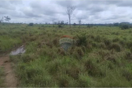 Fazenda/Sítio à venda, 813400m² no , Confresa