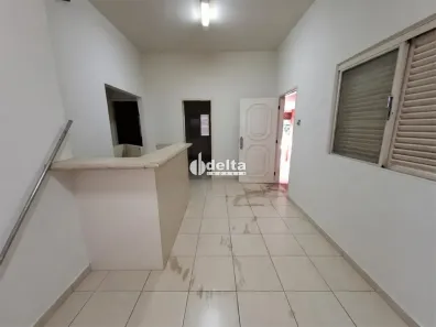 com 4 Quartos para alugar, 150m² no Martins, Uberlândia