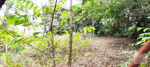 Lote/Terreno à venda, 1449m² no Jardim Estância Brasil, Atibaia