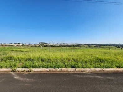 Lote/Terreno à venda, 242m² no Jardim Holambra, Cedral