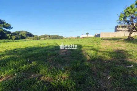 Lote/Terreno à venda, 1561m² no Jardim América I, Uberlândia