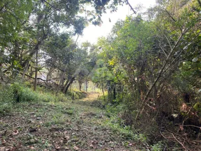 Lote/Terreno à venda, 96800m² no Santa Inês, Caieiras