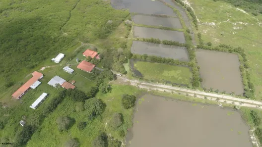 Fazenda/Sítio com 3 Quartos à venda, 740000m² no , Aquiraz