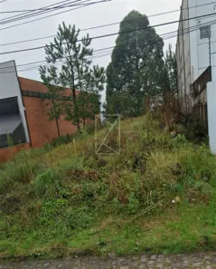 Lote/Terreno à venda, 360m² no Cidade Nova, Caxias do Sul