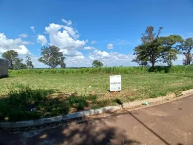 Lote/Terreno à venda, 223m² no Bosque das Araras, Três Lagoas