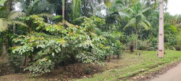 Lote/Terreno à venda, 1358m² no Morretes, Morretes