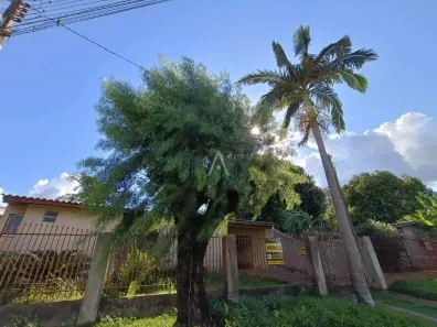 Lote/Terreno à venda, 541m² no Periolo, Cascavel