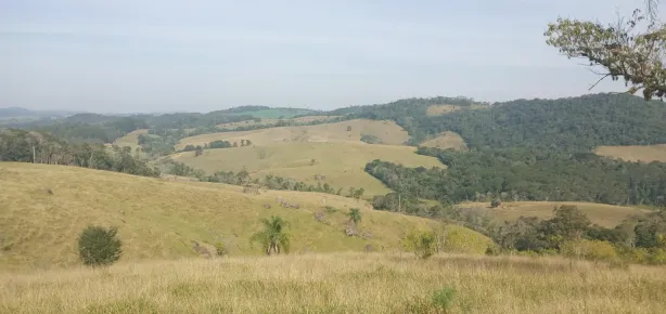 Fazenda/Sítio com 3 Quartos à venda, 80m² no Área Rural de Capão Bonito, Capão Bonito