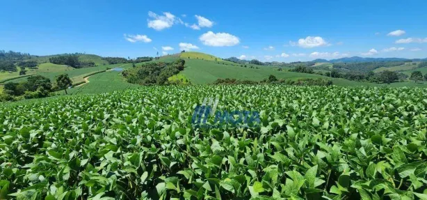 Fazenda/Sítio com 2 Quartos à venda, 150m² no Jardim Veneza, Campo Magro