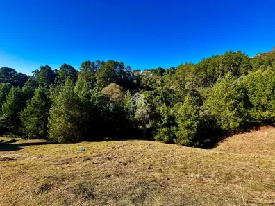Lote/Terreno à venda, 1019m² no Alto do Capivari, Campos do Jordão