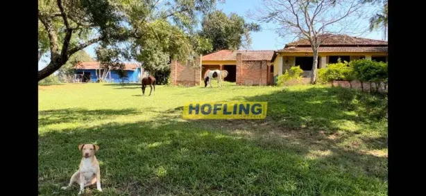 Fazenda/Sítio à venda, 1059990m² no Centro, Ipeúna