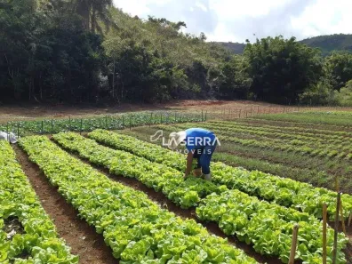 Fazenda/Sítio com 3 Quartos à venda, 363000m² no Vila Nicolau Melick, Paraíba do Sul