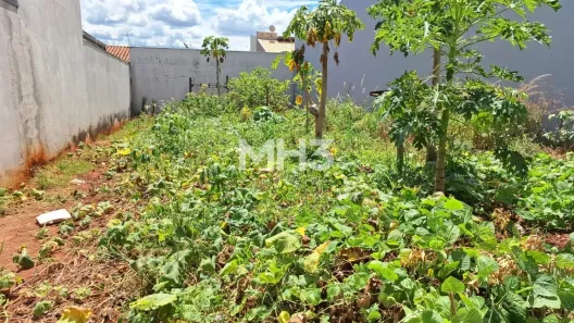 Lote/Terreno à venda, 250m² no Jardim Residencial Ravagnani, Sumaré