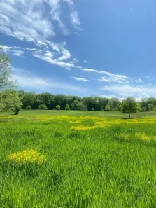 Fazenda/Sítio à venda, 500m² no Rio de Una, Ibiúna