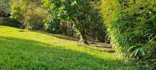 Lote/Terreno à venda, 256m² no Fazenda Inglesa, Petrópolis