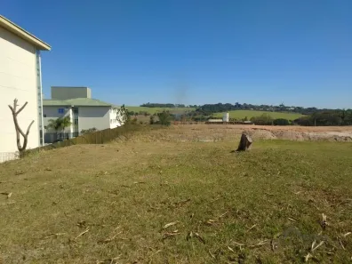 Lote/Terreno à venda, 1032m² no Loteamento Alphaville Campinas, Campinas