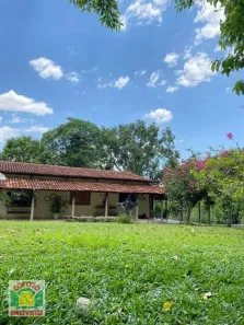 Fazenda/Sítio com 4 Quartos à venda, 10m² no Pirenópolis, Pirenópolis