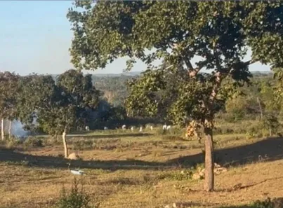 Fazenda/Sítio com 2 Quartos à venda, 120m² no , Poconé