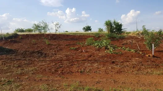 Lote/Terreno à venda, 502m² no , Engenheiro Beltrão