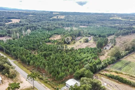 Fazenda/Sítio à venda, 444187m² no Rural, Tijucas do Sul