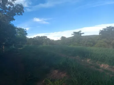 Fazenda/Sítio com 3 Quartos à venda, 500m² no , Bonfinópolis de Minas