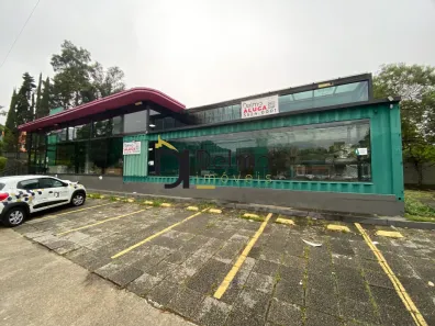 Prédio Comercial para alugar, 313m² no Jardim Petrópolis, São Paulo